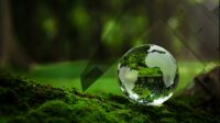 Crystal Earth On Soil In Forest With Ferns And Sunlight. From GettyImages