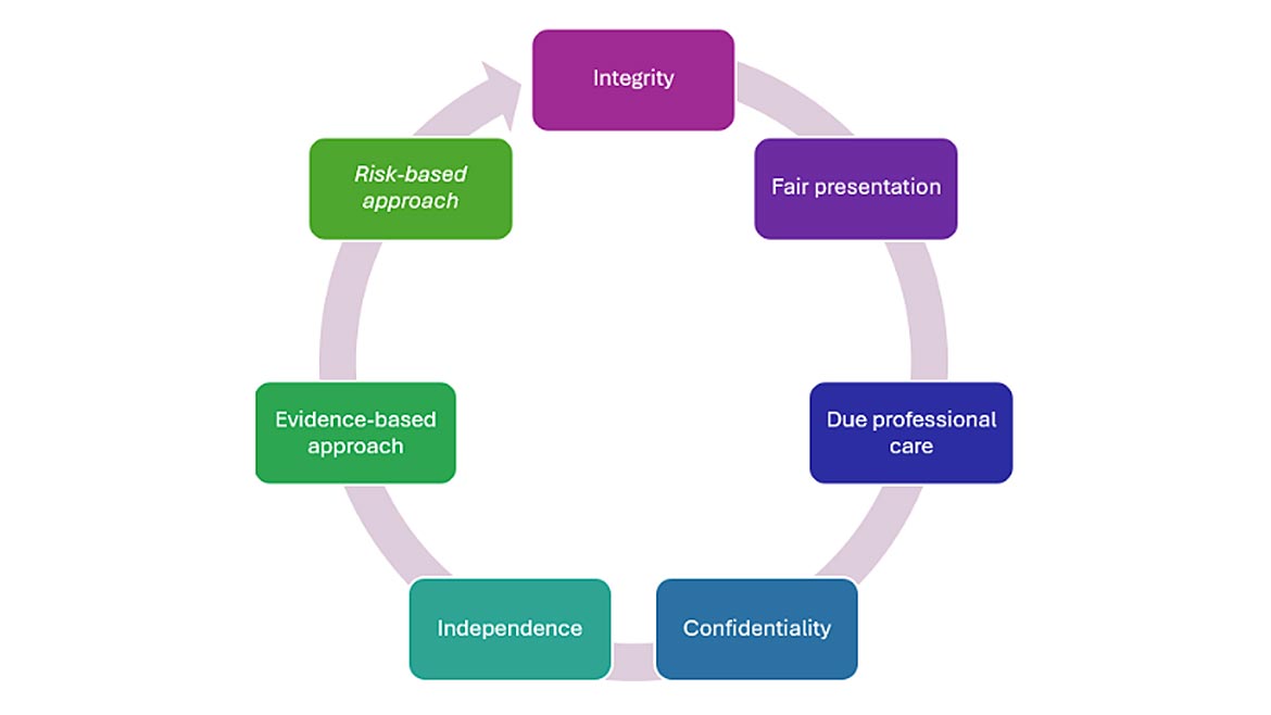 Diagram of Figure 1: The principles of auditing
