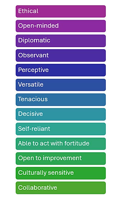 Figure 3: Graphic list of personal behaviors for successful auditors.
