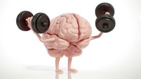 Brain Power: A Cartoon Illustration of a Brain Lifting Weights